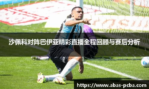 bsports官网入口